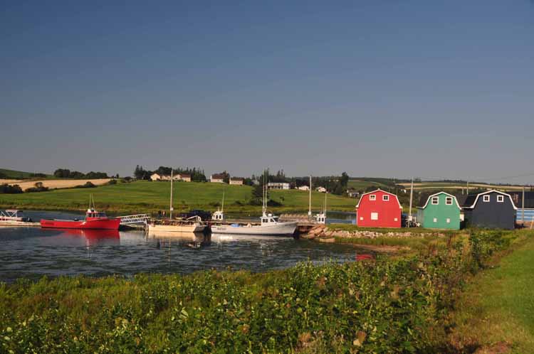 harbor